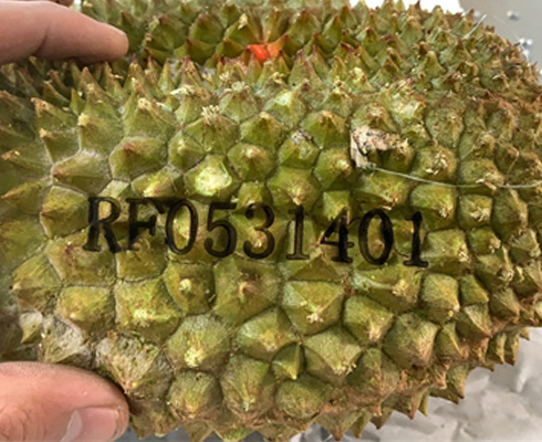 榴蓮激光打標(biāo)刻字 榴蓮激光打標(biāo)刻字